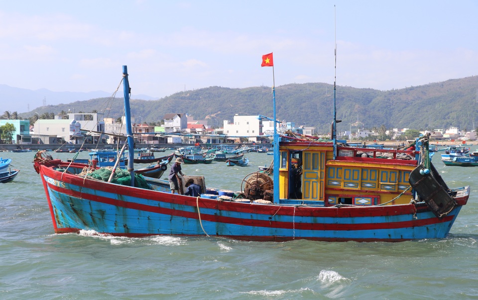 Phú Yên: Trúng ruốc biển, ngư dân bỏ túi tiền triệu mỗi ngày - 1 Phú Yên: Trúng ruốc biển, ngư dân bỏ túi tiền triệu mỗi ngày - 1