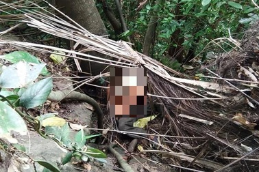 Trèo cây đoác cao hơn 4m lấy rượu, người đàn ông ngã tử vong