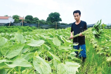 Hà Nam: Giảm nghèo đa chiều bền vững