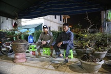 Người dân "chạy đua" với thời gian, thức thâu đêm canh hoa Tết