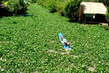 Những dòng sông “mắc nghẹn” 