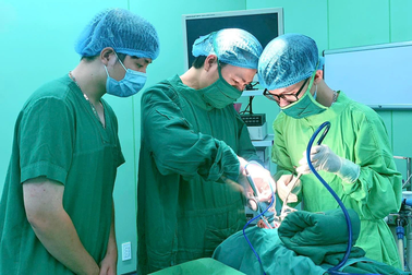Giám đốc bệnh viện công tới trường đại học chiêu mộ bác sĩ