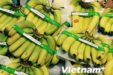 Chuối Việt Nam chinh phục ngoạn mục thị trường Nhật Bản