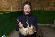 Người phụ nữ thử sức với mô hình nuôi loại động vật quý hiếm