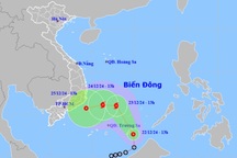 Bão số 10 hình thành trên Biển Đông, miền Trung đến TPHCM mưa to