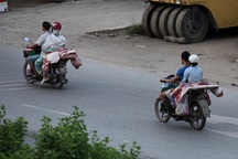 Chở thịt gia súc, gia cầm không có dấu kiểm soát giết mổ bị xử phạt thế nào?