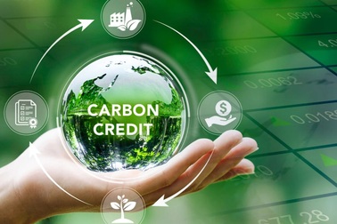 Sàn carbon Việt Nam: Bao nhiêu cơ sở đang có “vé” giao dịch?