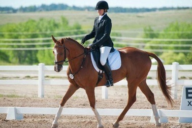 17 tấm bằng đại học “độc lạ” nhất được đào tạo tại Anh