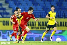 Malaysia và Indonesia dẫn đầu về cầu thủ nhập tịch tại AFF Cup 2020