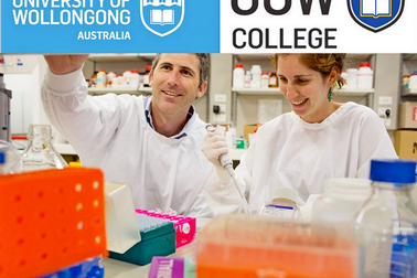 Lộ trình tốt nhất để nhập học Đại học Wollongong danh tiếng