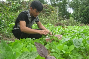 Gặp thủ khoa nghèo 12 năm tự học ở nhà