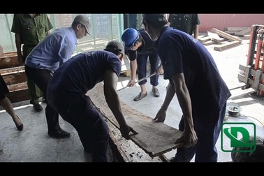 Cận cảnh lô ngà voi 40 tỷ được cất giấu tinh vi trong gỗ