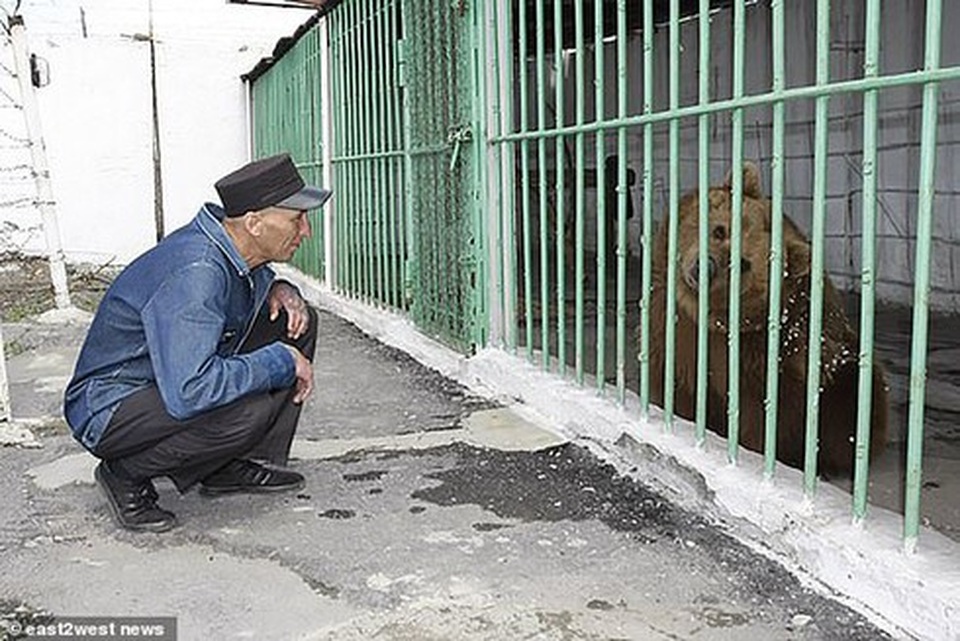 Gấu bị kết án tử hình vì tấn công hai cha con - 2 Gấu bị kết án tử hình vì tấn công hai cha con - 2