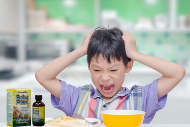 Trị biếng ăn đúng cách cho con -  Mẹ đã biết chưa?