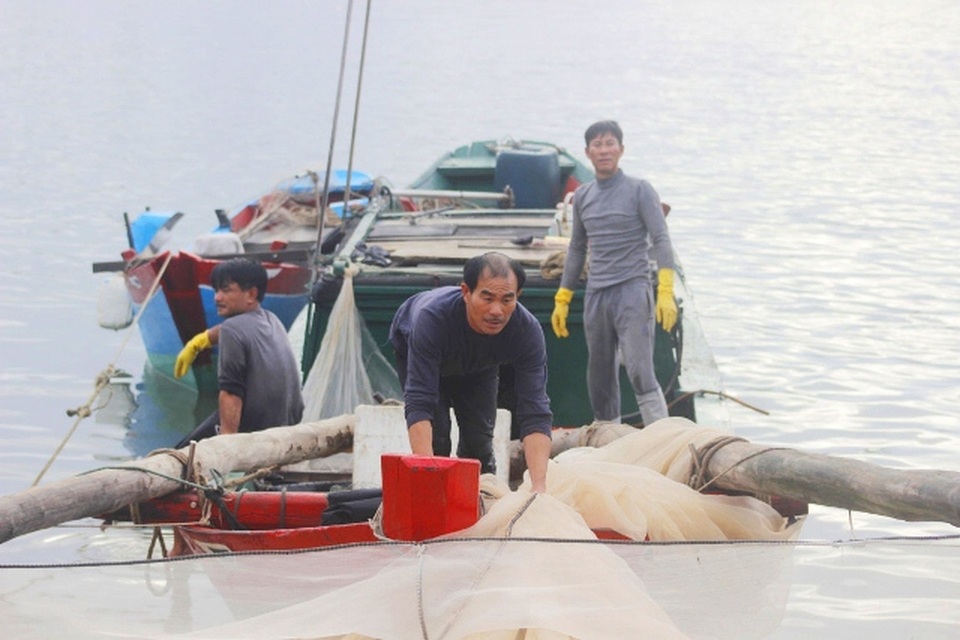 Kiếm 10 triệu/đêm, nhờ ra biển xúc hàng tấn con nhảy lao xao - 2 Kiếm 10 triệu/đêm, nhờ ra biển xúc hàng tấn con nhảy lao xao - 2