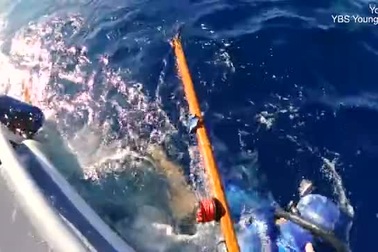 Khoảnh khắc kinh hoàng khi nhóm thanh niên nhảy xuống biển đúng luồng di ch