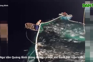 Trúng 250 tấn cá nục, ngư dân thu về 2,4 tỷ đồng sau một chuyến ra khơi