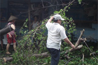 Đổ cây, nổ bình điện do mưa và sấm sét 