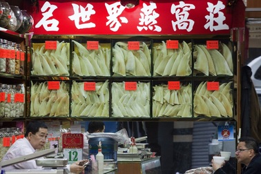 Vây cá mập có gì khiến dân Trung Quốc “ghiền” đến vậy?