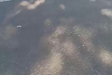 Xe taxi bị ủn lê trên đường vì tạt đầu container