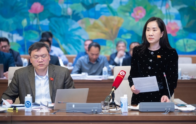 Phó Chủ nhiệm Ủy ban Kinh tế Đoàn Thị Thanh Mai phát biểu