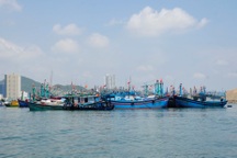 Chủ tịch xã, phường bị phê bình do chưa quyết liệt chống khai thác IUU