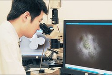 “Trình làng” kính hiển vi mạnh nhất thế giới