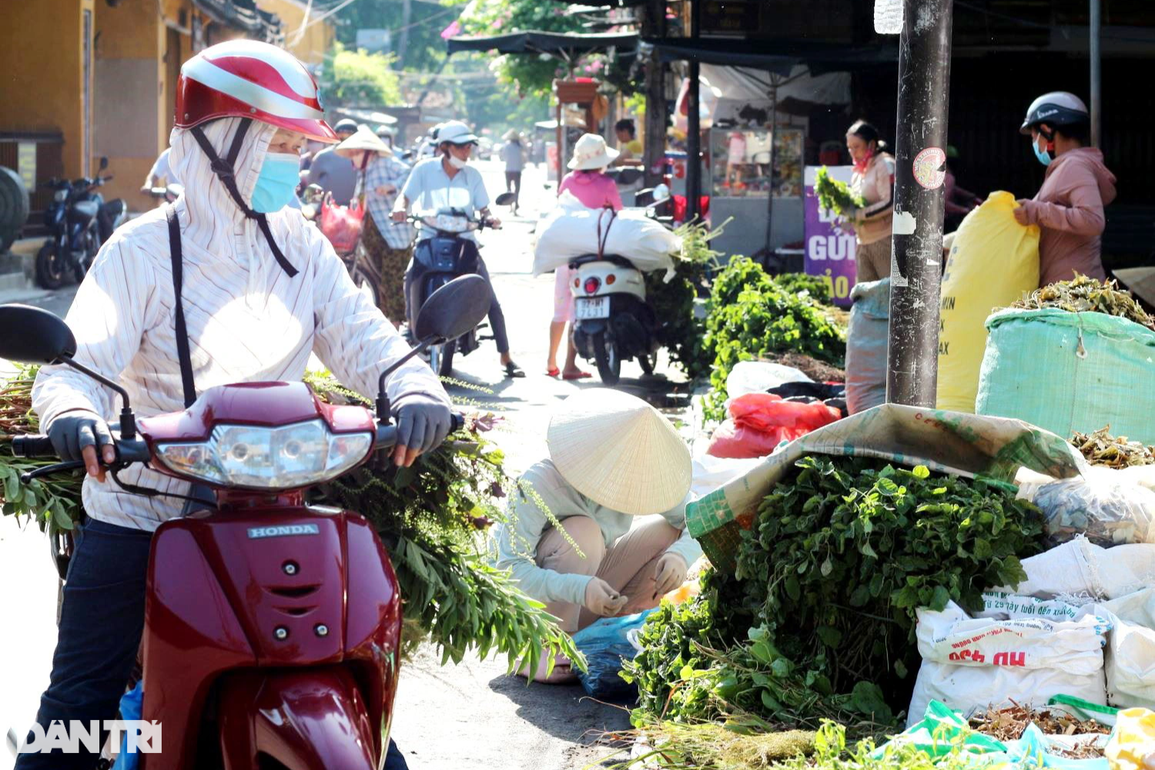 Gom nhặt cả năm cho phiên chợ lá chỉ bán vài ngày Tết Đoan ngọ - 7 Gom nhặt cả năm cho phiên chợ lá chỉ bán vài ngày Tết Đoan ngọ - 7