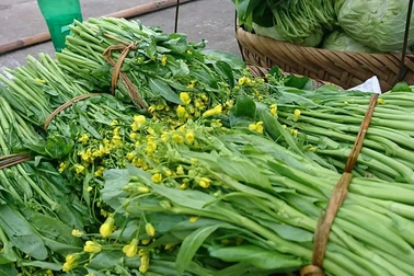 Loại rau trong nhóm tốt nhất thế giới trồng bạt ngàn ở Việt Nam