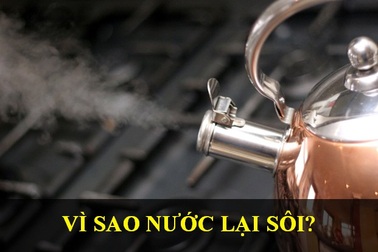 Đáp án cho những câu hỏi “Vì sao?” của con trẻ khiến người lớn cũng phải bó tay
