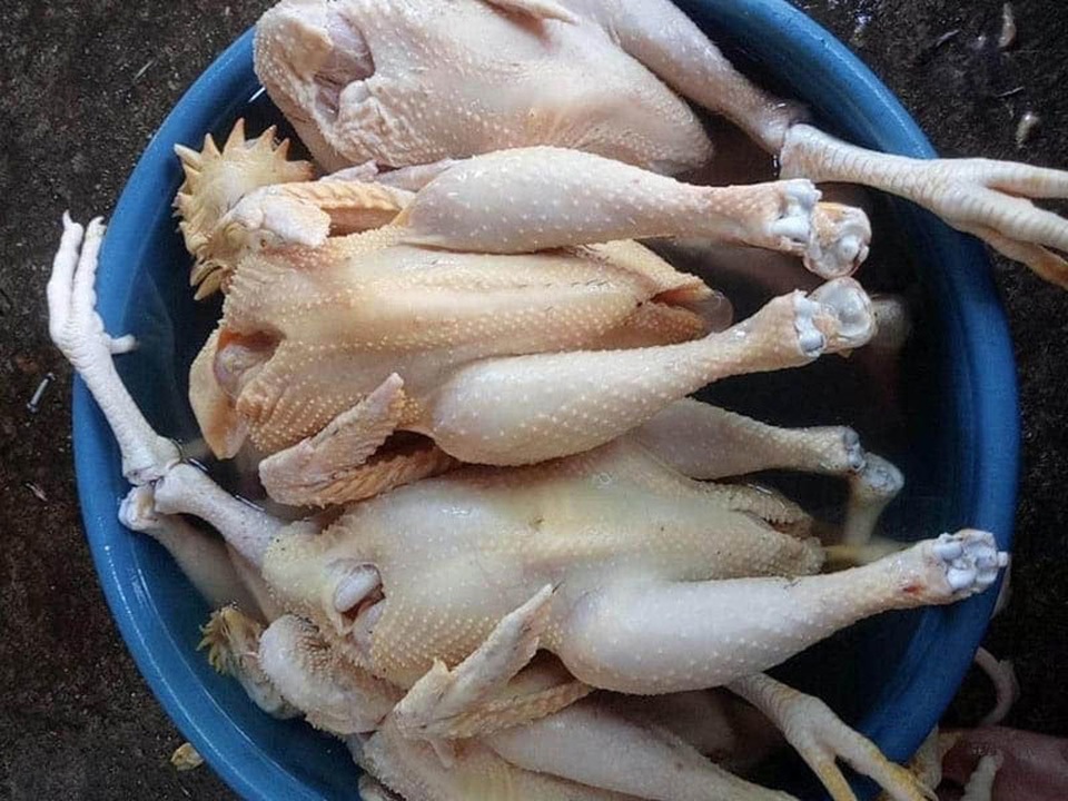 Sự thật gà ri đặc sản 45.000 đồng/con bán tràn chợ mạng - 2