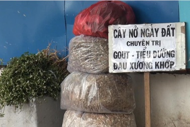 Cảnh báo thần dược trị bá bệnh ở vỉa hè