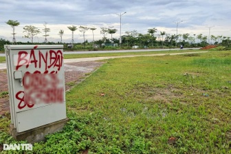 Phú Thọ sắp đấu giá khu đất 7,4ha, yêu cầu phải đặt trước 37 tỷ đồng