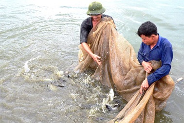“Chiêu” mới của doanh nghiệp bất động sản