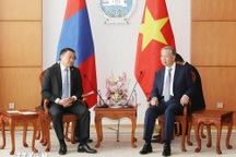 Việt Nam mong muốn phát triển quan hệ với Mông Cổ trên tất cả các lĩnh vực