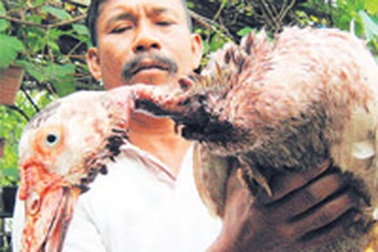 Bị cắt cổ 2 lần mà không chết