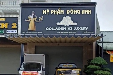 Nữ Giám đốc 24 tuổi bị khởi tố