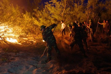 Lửa cháy lan từ nghĩa trang, thiêu rụi rừng ven biển