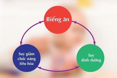 Ginkid Ăn ngon 11X: Cải thiện chức năng tiêu hóa – Trẻ hết biếng ăn