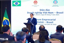 Đối tác Chiến lược Việt Nam - Brazil: "Quan hệ kinh tế luôn là trụ cột quan trọng"