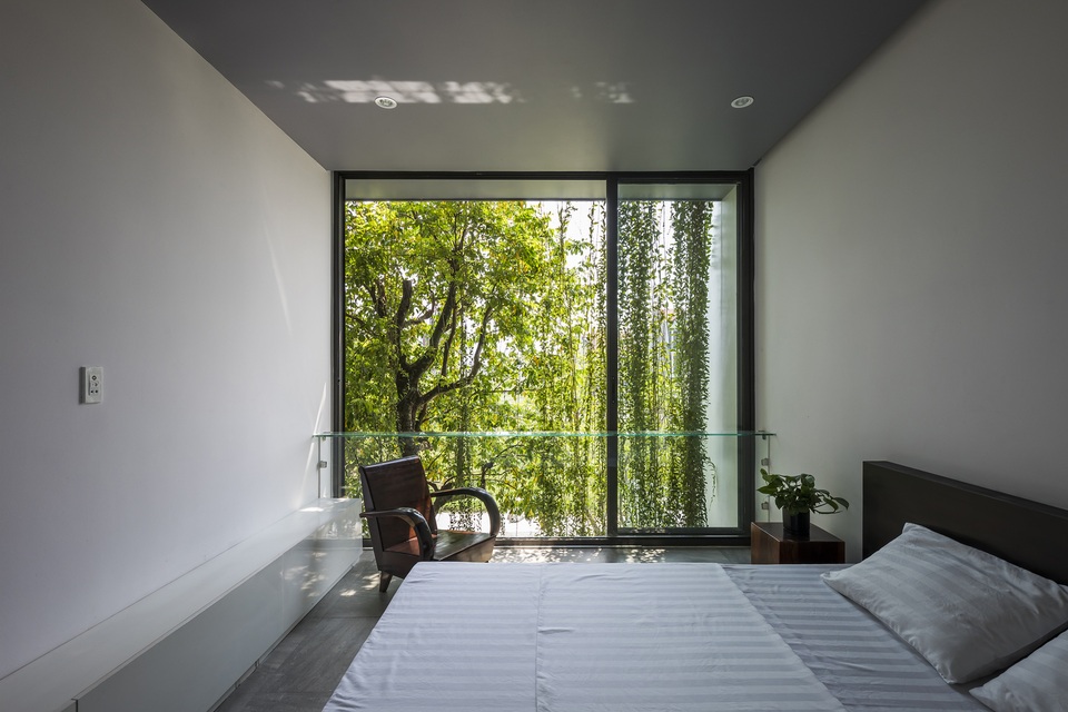 Vợ chồng trẻ ở Huế làm “vườn đặt trong nhà” khiến mùa hè vẫn mát rượi - 15 Vợ chồng trẻ ở Huế làm “vườn đặt trong nhà” khiến mùa hè vẫn mát rượi - 15