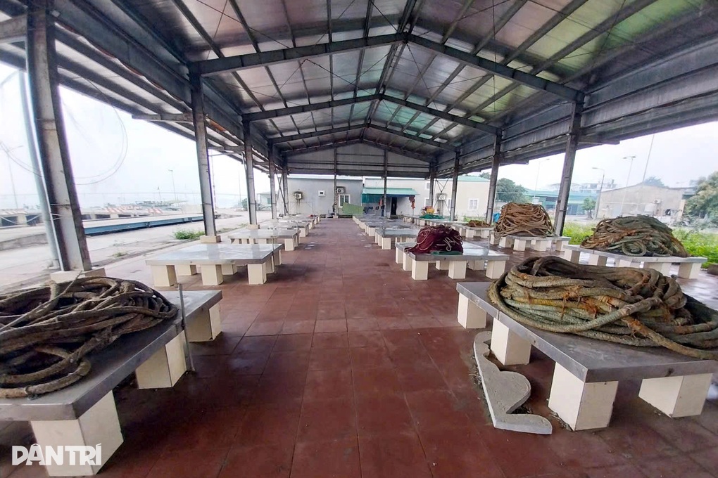 Được đầu tư hơn 100 tỷ đồng, cảng cá vẫn vắng tanh - 2 Được đầu tư hơn 100 tỷ đồng, cảng cá vẫn vắng tanh - 2