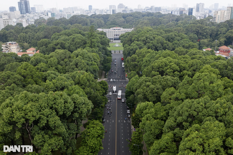 TPHCM cần phủ xanh thế nào khi hàng nghìn cây đã hy sinh cho dự án? - 2 TPHCM cần phủ xanh thế nào khi hàng nghìn cây đã hy sinh cho dự án? - 2