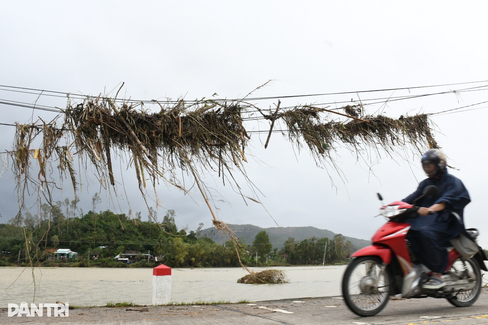 Nơi cơn đại hồng thủy vừa đi qua - 5