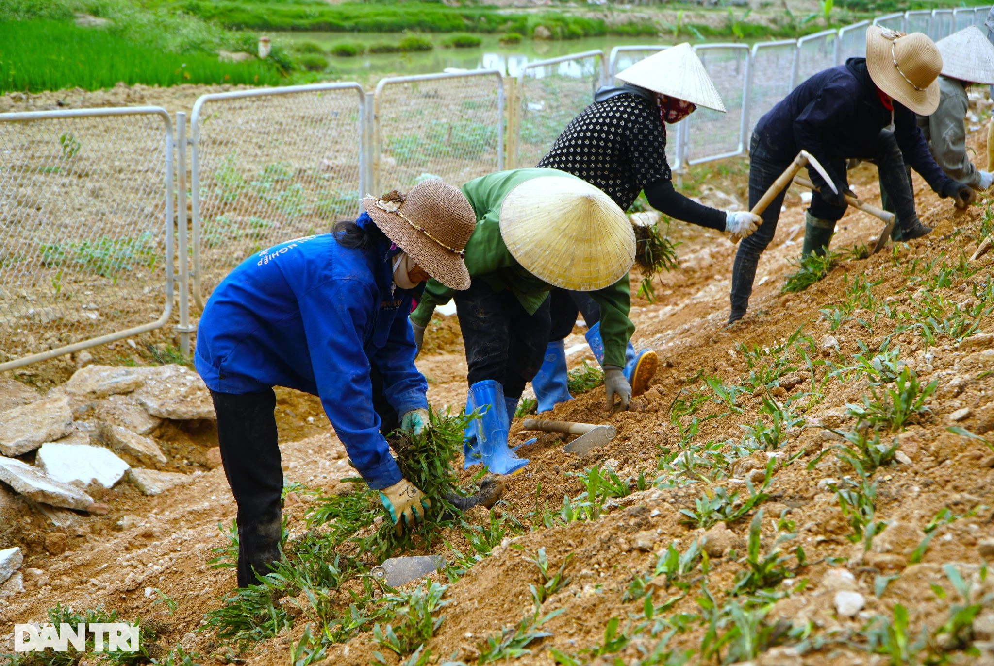 View - Mở thêm hai nút giao trên cao tốc Mai Sơn - Quốc lộ 45 | Báo Dân trí