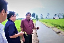 Trả giá đắt: Phở mang danh Trung Quốc, nước mắm gắn mác Thái