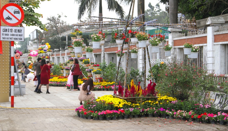 Người dân đổ xô đến chụp hình lưu niệm con đường hoa ở thành Vinh - 8