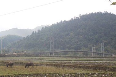 Nghệ An: Không có chuyện cầu treo Khe Lẻ sập xuống suối