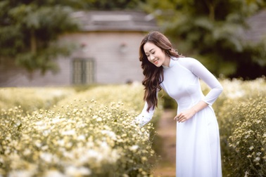 Anika Trinh Trinh nền nã với áo dài trắng và cúc họa mi