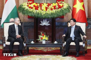 Việt Nam luôn coi trọng và mong muốn tăng cường hợp tác với Hungary